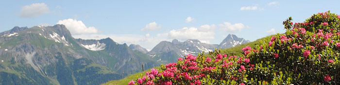 head sommer st anton ferienwohnungen arlberg