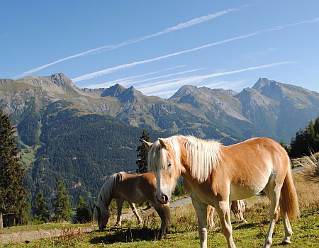sommer wandern 2 st anton ferienwohnungen arlberg
